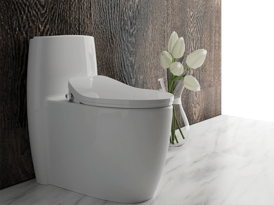Ametican V-shape smart bidet 6