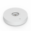 UV Sterilizing Toilet Night Light