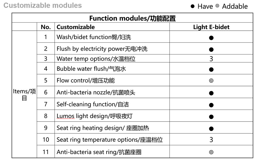 Electric Heated Bidets 1 