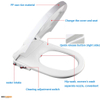 Non Electric Bidet seat- European Style U-Shaped(D Shaped XY1002