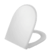 D Shape Pp Toilet Seat BP0113TB