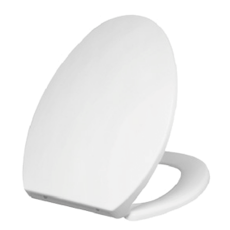 American Elongate Design BP0137Q3 