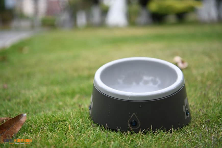 pet bowl 6