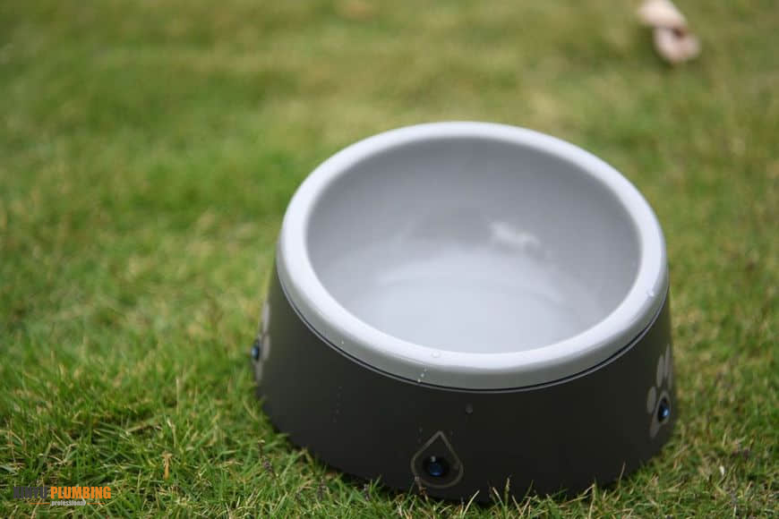 pet bowl 5