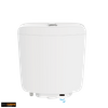 Inductive Squat Toilet Tank 
